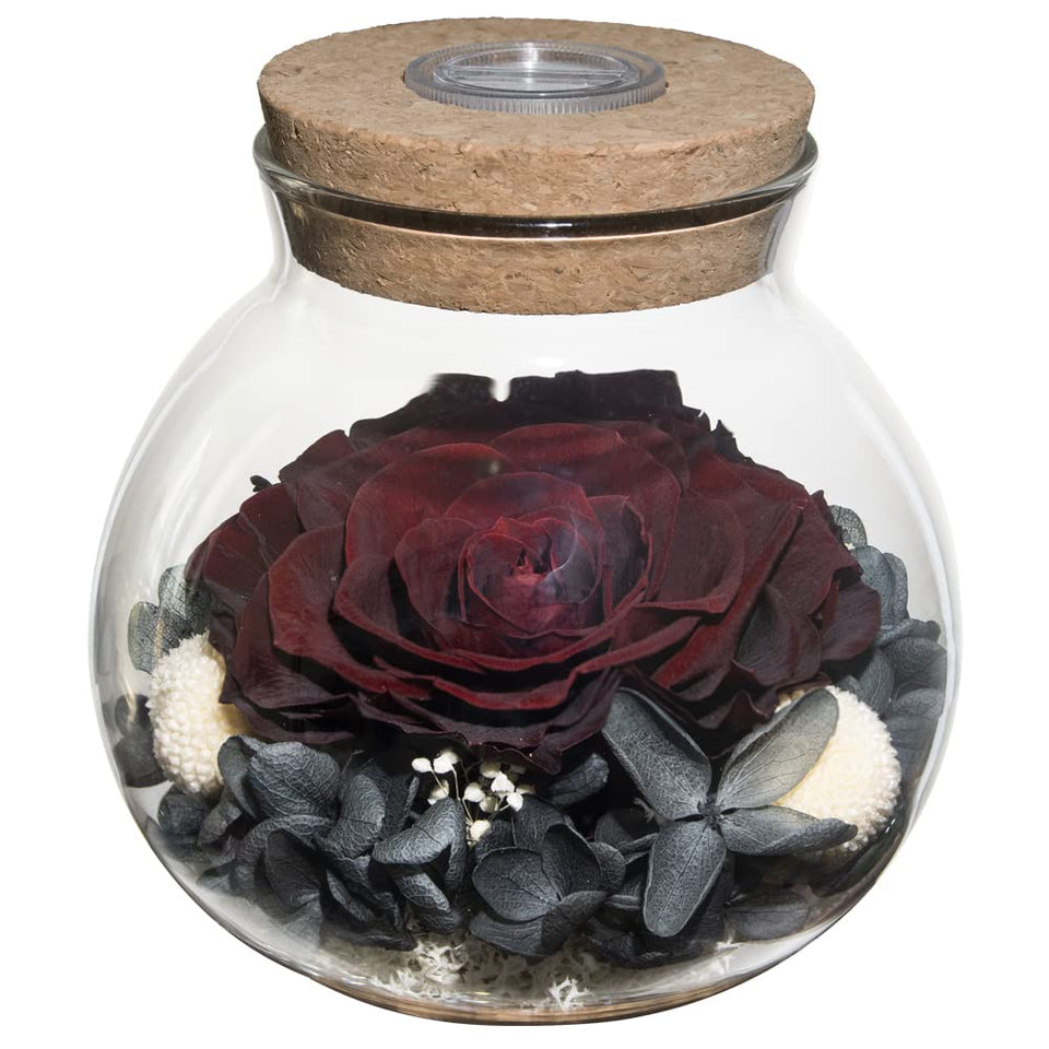 roliys preserved rose mood light bottle with glow-cap for ambient lighting