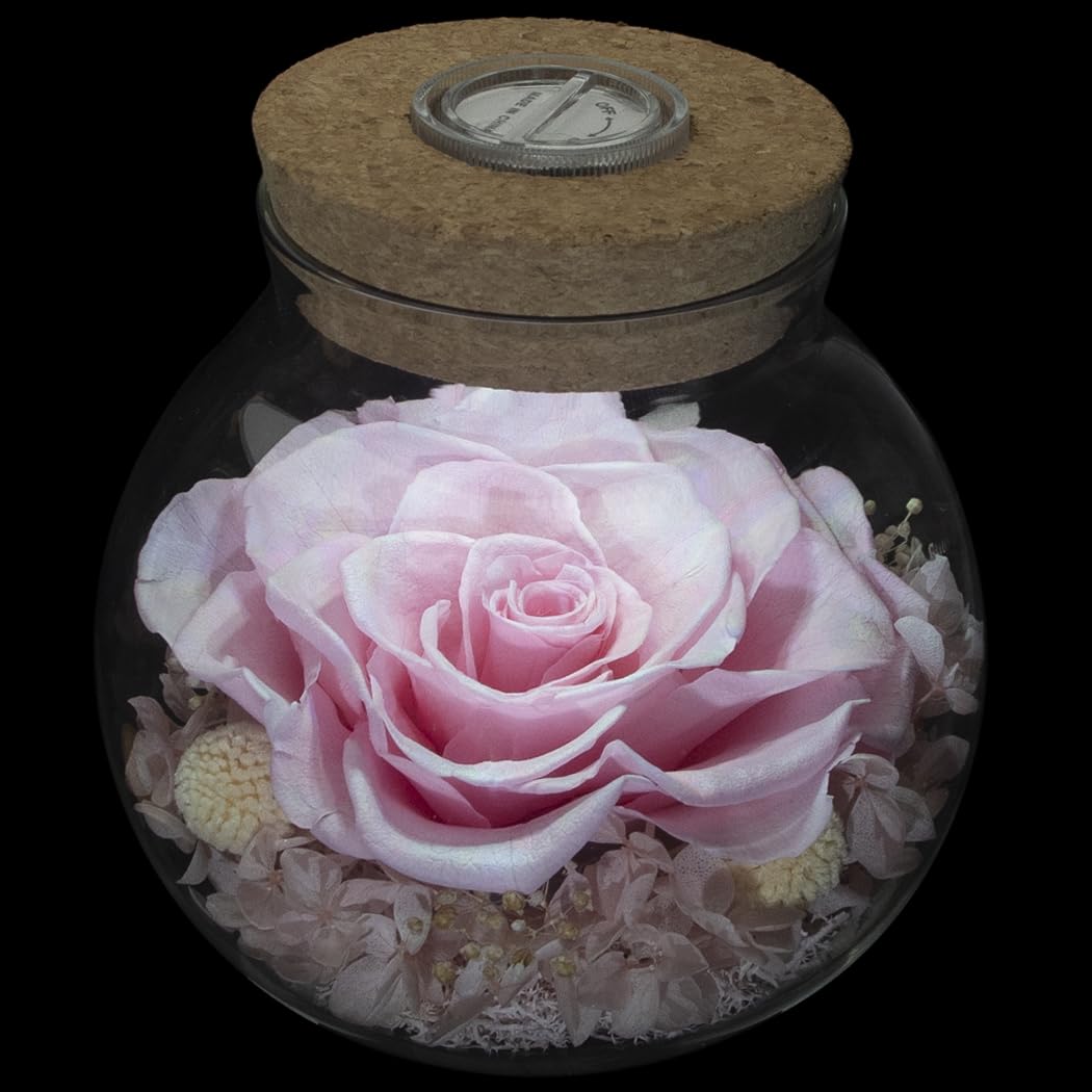 roliys preserved rose mood-light bottle for cozy room ambience