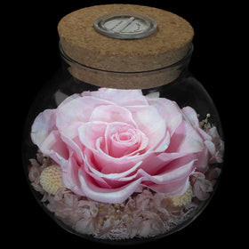 roliys preserved rose mood-light bottle for cozy room ambience