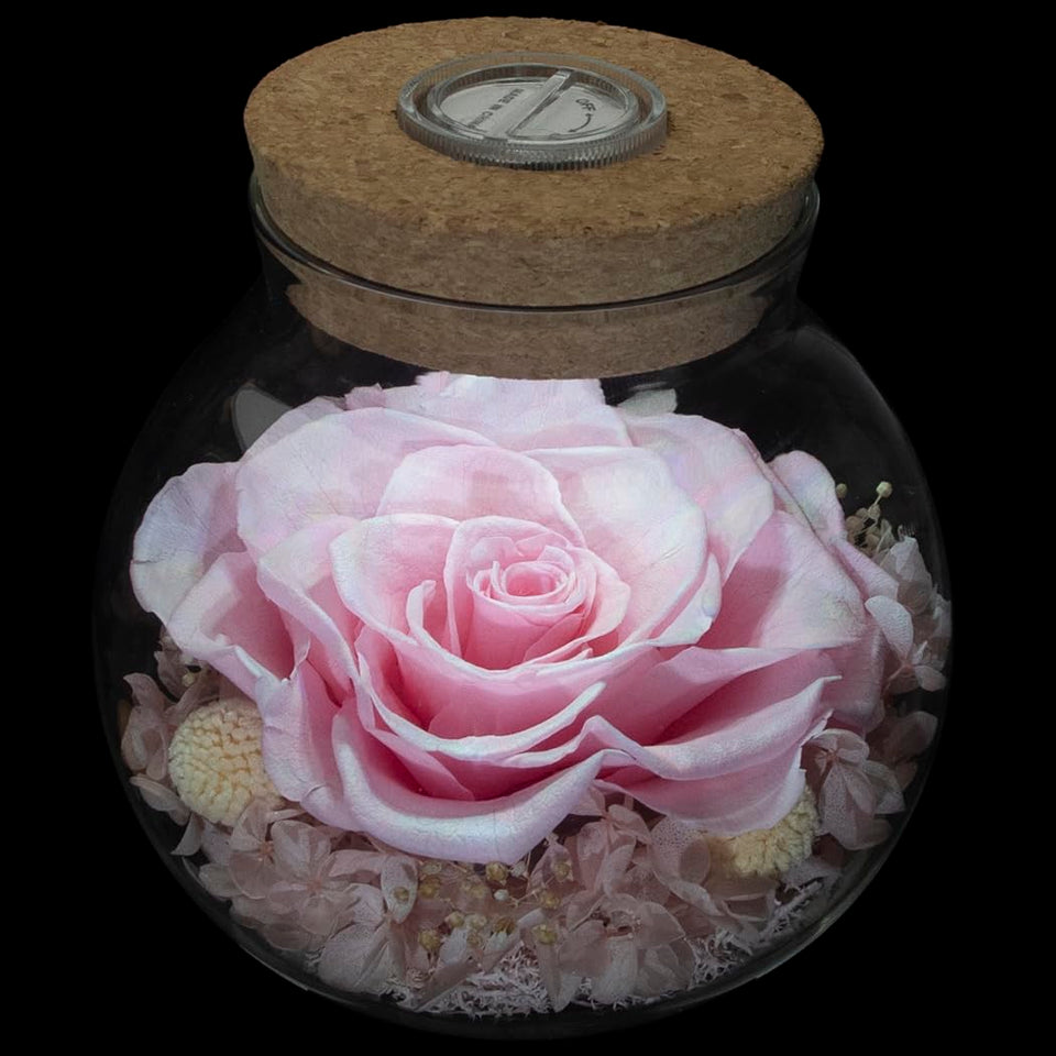 roliys preserved rose mood-light bottle for cozy room ambience