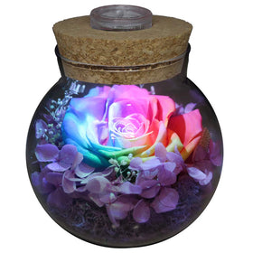 roliys preserved rose mood light cap creates soft ambient glow