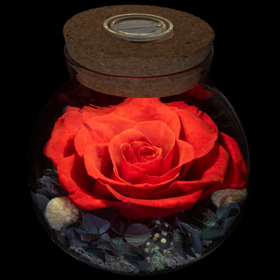 roliys preserved rose with mood light cap glowing softly for ambiance