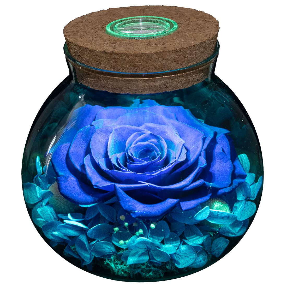Roliys preserved rose wishing bottle with blue light enhances cozy room ambience.