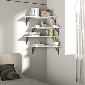 ROMGUAR CRAFT living room setup with versatile display options