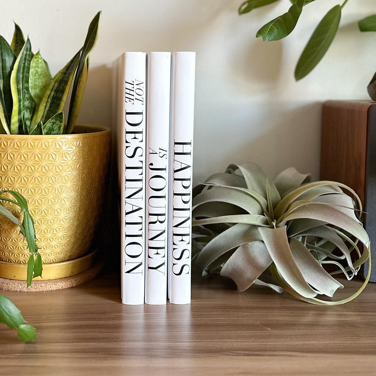 ROOMICLE large-size books measure 12.9 by 8.9 by 1.1 inches