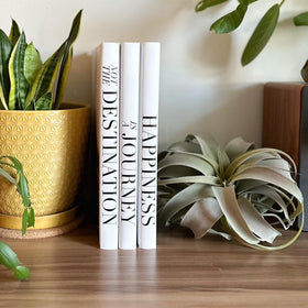 ROOMICLE large-size books measure 12.9 by 8.9 by 1.1 inches