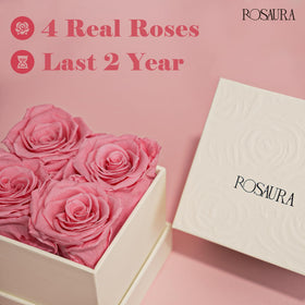 Rosaura preserved flowers care details highlighting easy maintenance