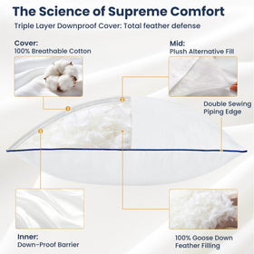 ROSE FEATHER pillow insert on sofa adding soft support for lounging