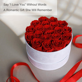 Rosemoir 20 real preserved roses display offers a lasting romantic keepsake.