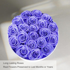 Rosemoir birthday anniversary Christmas rose box for meaningful celebrations.