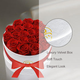 Rosemoir gift-ready box showcases an elegant, maintenance-free surprise for her.
