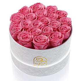 Rosemoir preserved roses in a 20-rose box for lasting beauty.