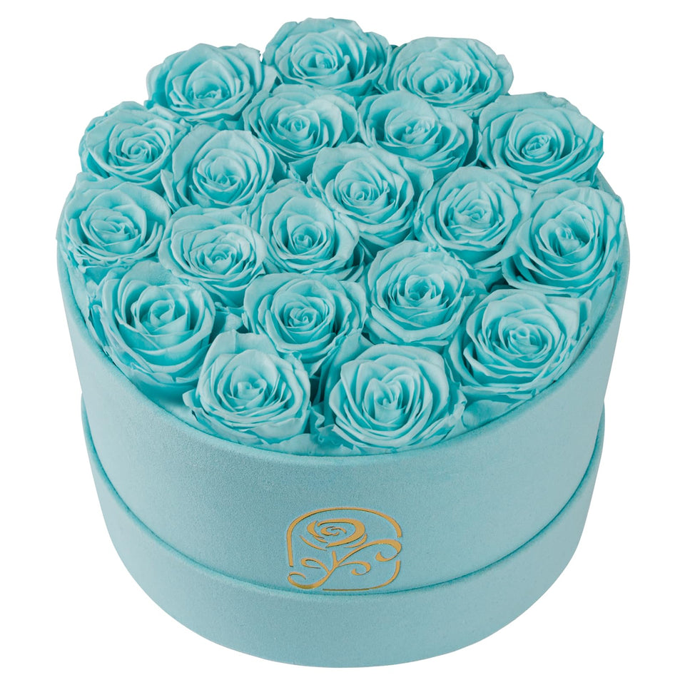 Rosemoir preserved roses in teal velvet box offer lasting romance with minimal care.