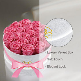 Rosemoir preserved roses ideal for romantic surprises with low maintenance.