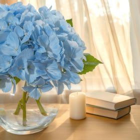 Rosscer 1.54-inch petals and 5.1-inch leaves add realistic detail.