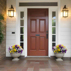 Rowfad pansy flowers hanging planter along entryway for color