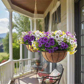Rowfad pansy flowers arranged in planter for versatile outdoor decor