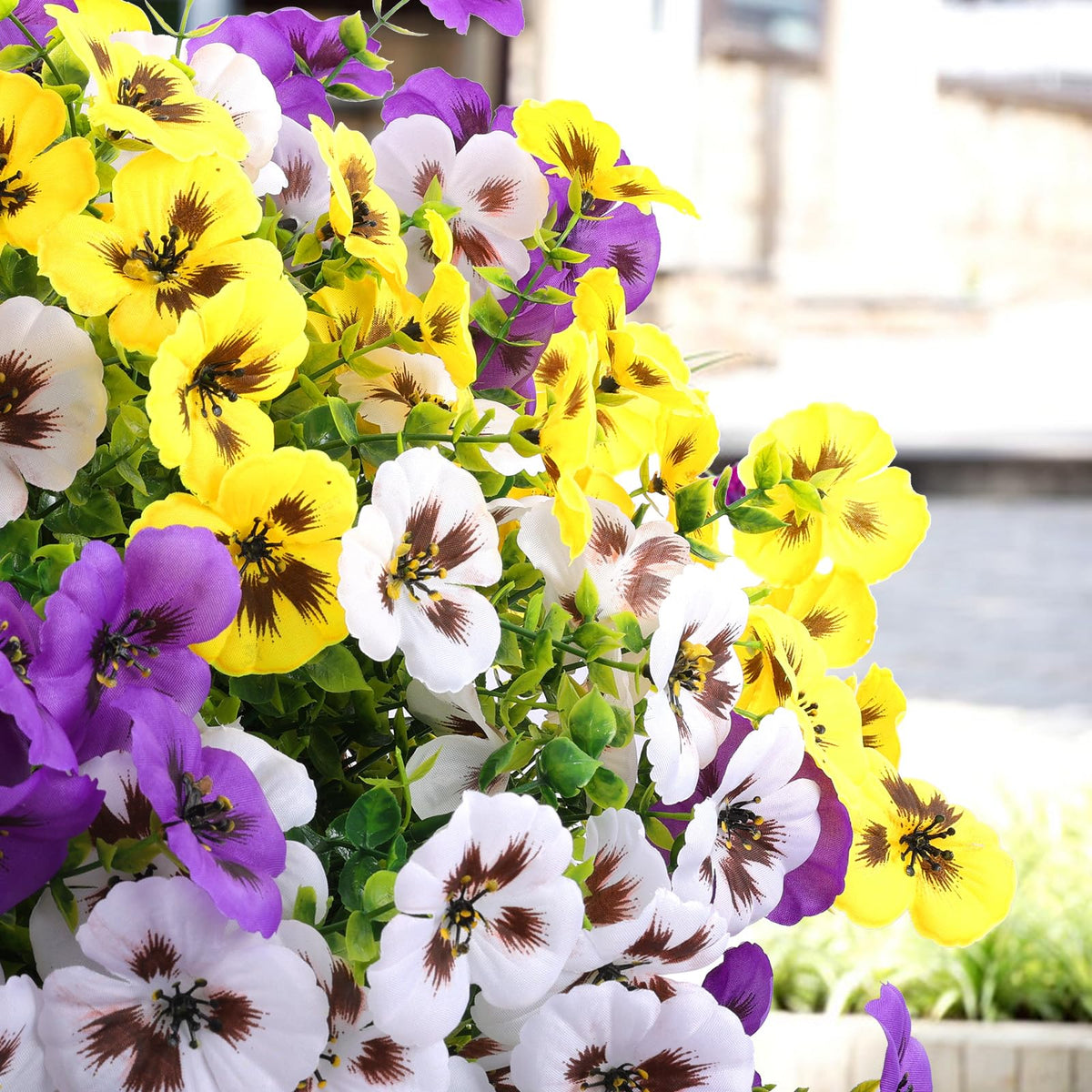 Rowfad pansy flowers for porch decor with purple white and yellow hues