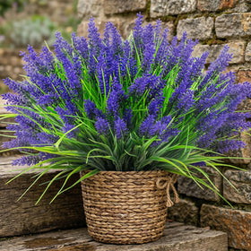 Rowfad outdoor lavender bundles elevate patios and paths with vibrant purple accents