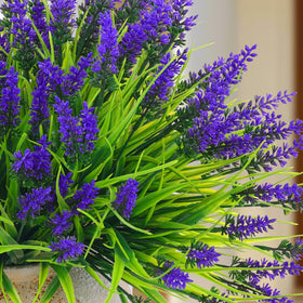 Rowfad lavender flowers stay lush and colorful long after installation