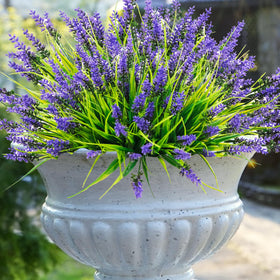 Rowfad outdoor décor that requires no watering or pruning for busy spaces