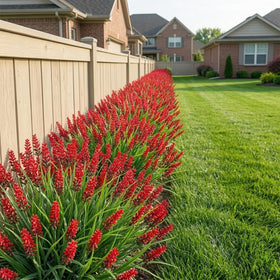 Rowfad red faux blooms on a patio planter for color