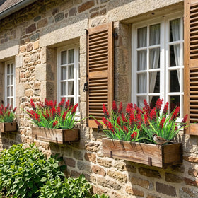 Rowfad red outdoor flowers along a garden path for color accents