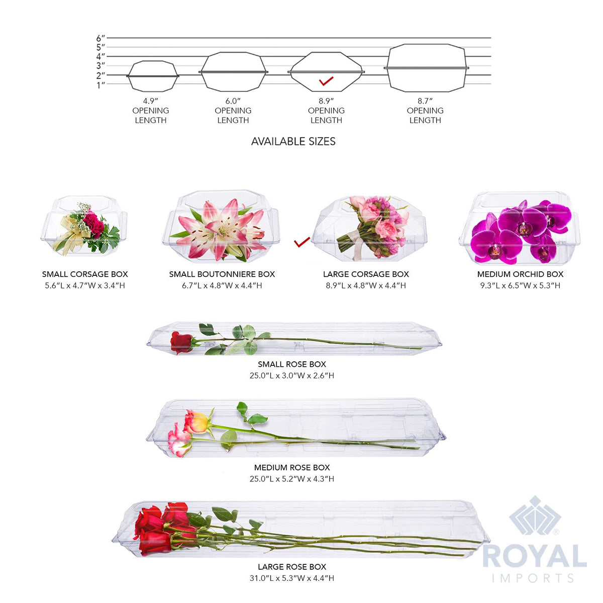 Royal Imports orchid box transparent display for weddings
