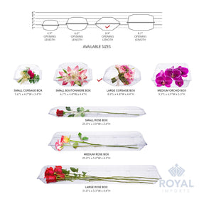 Royal Imports orchid box transparent display for weddings