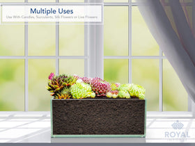Royal Imports 4x4x12 vase perfect as a centerpiece for events