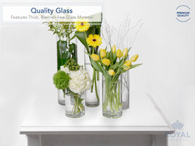 Royal Imports cylinder vase with 6inch opening, perfect for tall blooms or mixed arrangements.