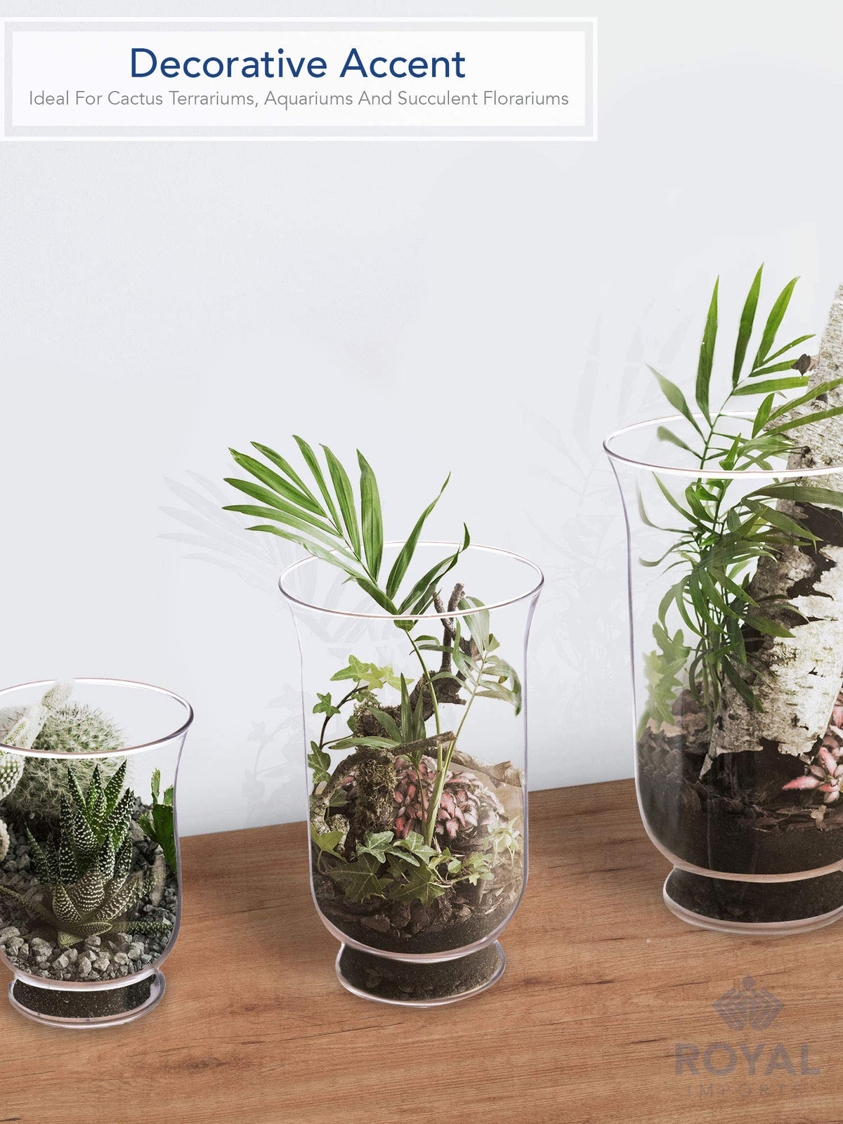 Royal Imports hurricane terrarium vase in clear glass for plants or candles.
