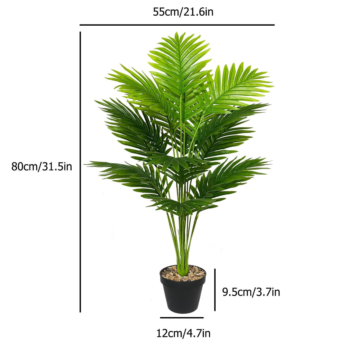 Rozwkeo palm trunk and leaves highlight vibrant greenery with low maintenance