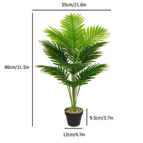 Rozwkeo palm trunk and leaves highlight vibrant greenery with low maintenance