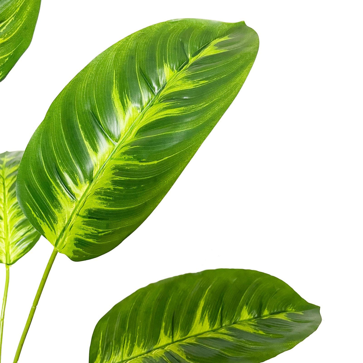 Rozwkeo indoor-outdoor greenery offers versatile placement