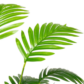 Rozwkeo indoor-outdoor palm decor suitable for multiple spaces