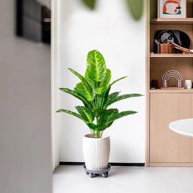 Rozwkeo lifelike trunk and branches add depth for any room