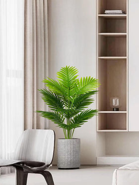 Rozwkeo palm tree in modern pot for sleek interior styling