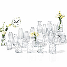 Ruckae small clear bud vases bulk 22-pack ideal for wedding centerpieces.