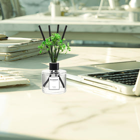 RYANNER gift-ready diffuser-set makes a thoughtful housewarming or welcome gift.