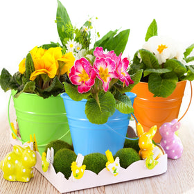 Sadnyy multipurpose storage buckets for crafts and desk organization.