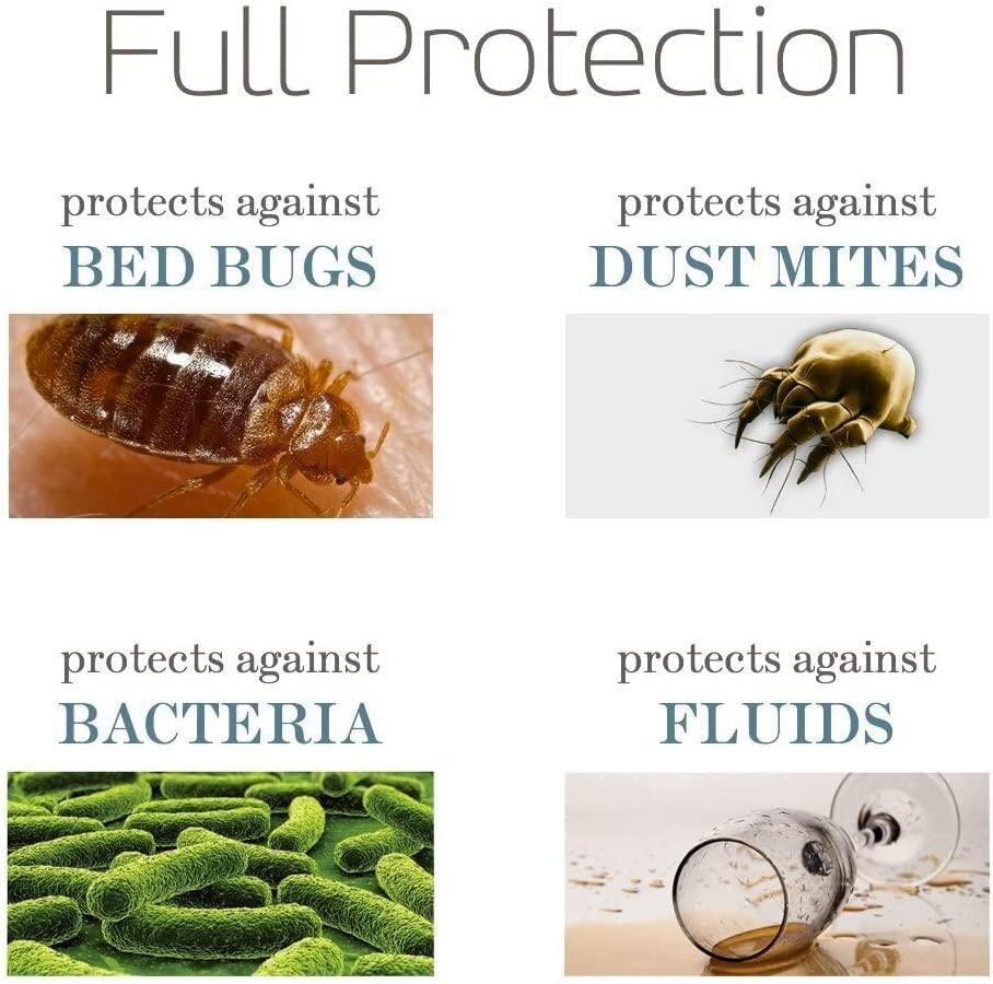 SafeRest zippered pillow encasement creates a secure barrier against dust.