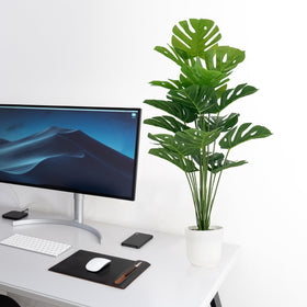 Sajandas adjustable stems, flexible arrangement options for personalized displays.