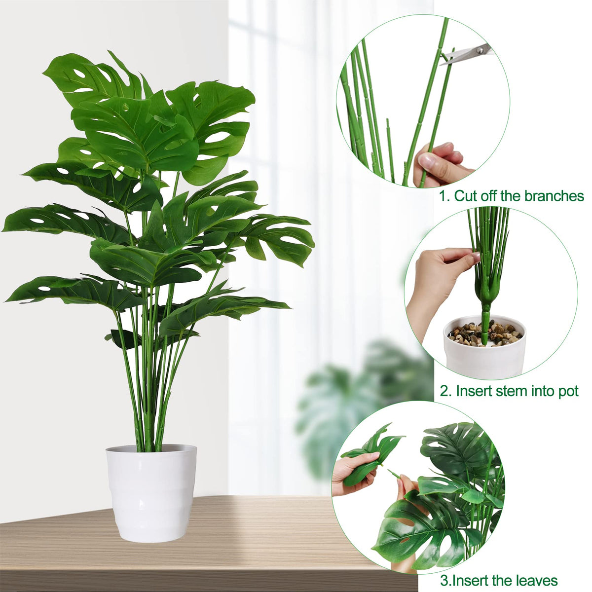 SAJANDAS Monstera plant side view highlights lush leaves for office ambiance