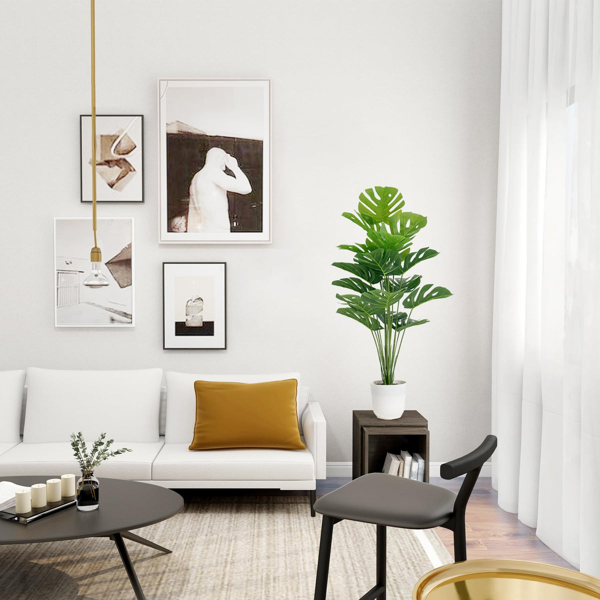 Sajandas versatile floor plants for entryways, patios, and shop interiors.