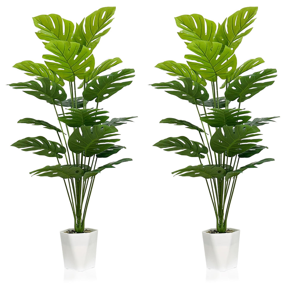 SAJANDAS Monstera deliciosa pair 43-inch pots enhances living room ambiance.
