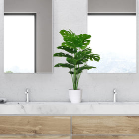SAJANDAS two-plants-in-pots kit provides quick, attractive decor out of the box