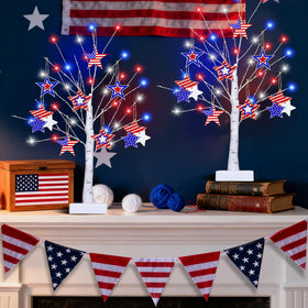 Sakayo 2-pack tabletop décor for celebrations.