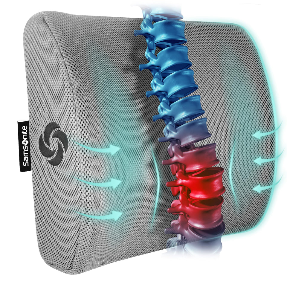 Samsonite memory-foam lumbar pillow demonstrates the back-curve for better spine support.