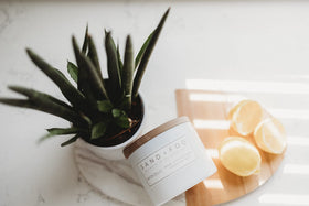 Sand + Fog fragrance notes highlight citrus top and warm base.